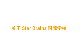 关于 Star Brains 国际学校